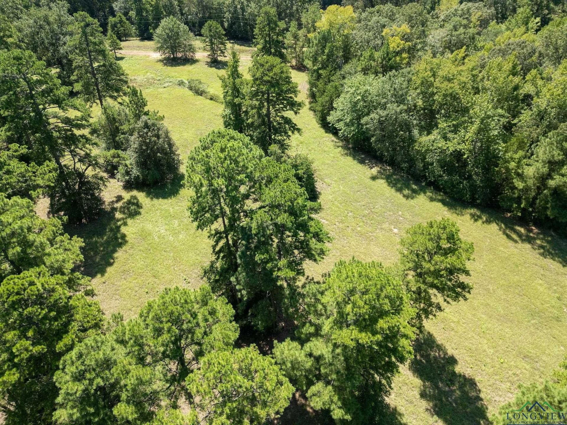 14.7 acres in Texas County - photo 12