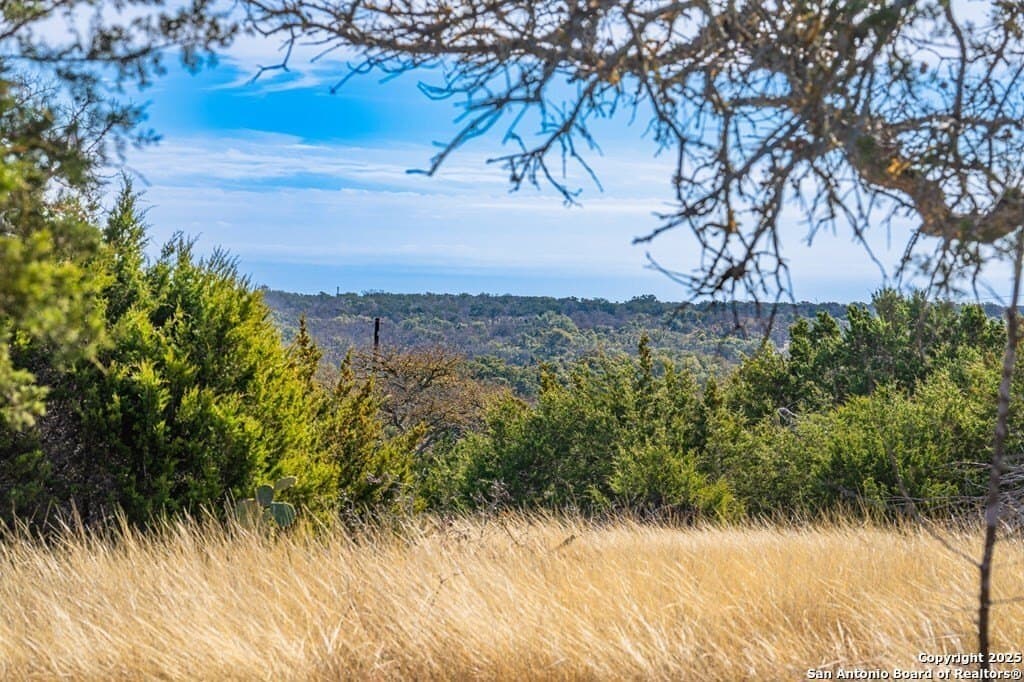 15.01 acres in Kerr County - photo 4
