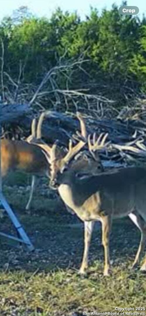 15.01 acres in Kerr County - photo 13
