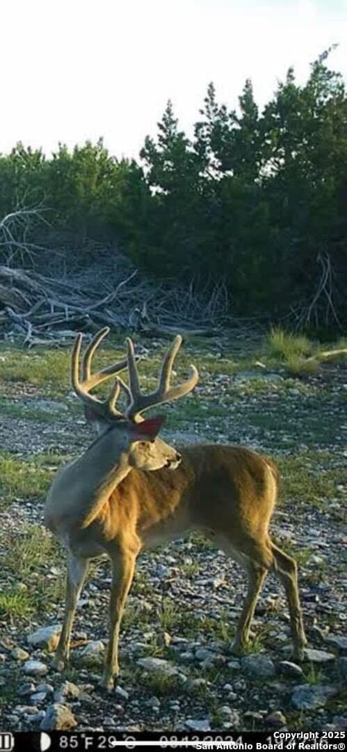 15.01 acres in Kerr County - photo 11
