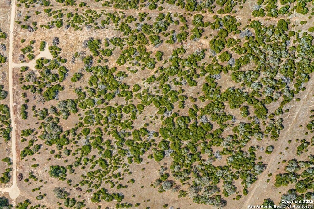 15.01 acres in Kerr County - photo 10
