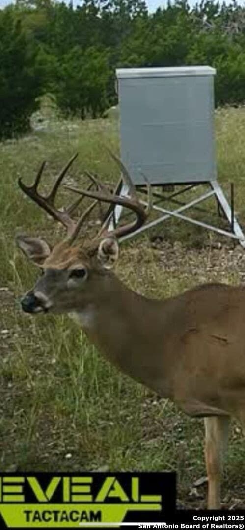 15.01 acres in Kerr County - photo 12