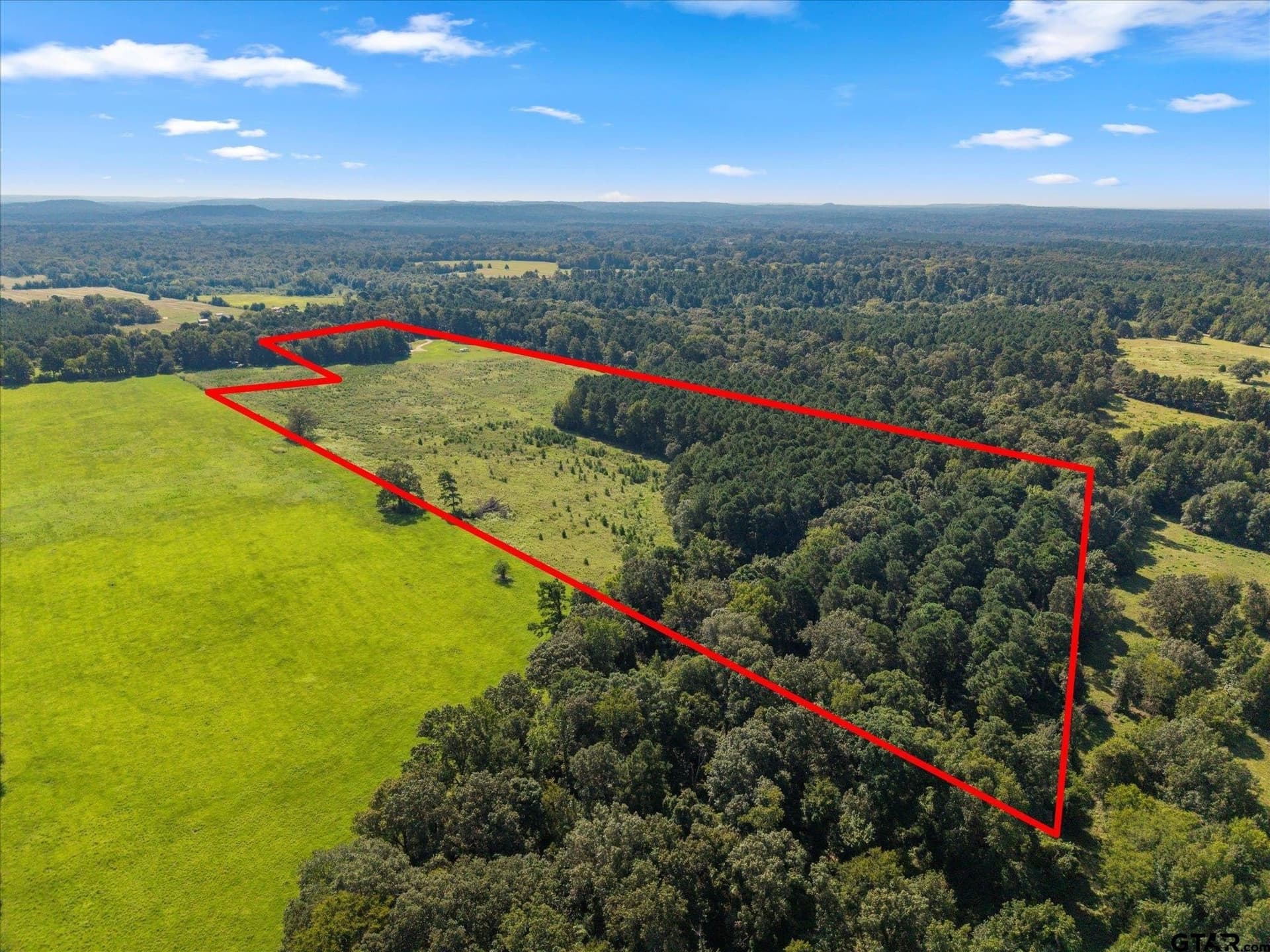 41 acres in Camp County - photo 40