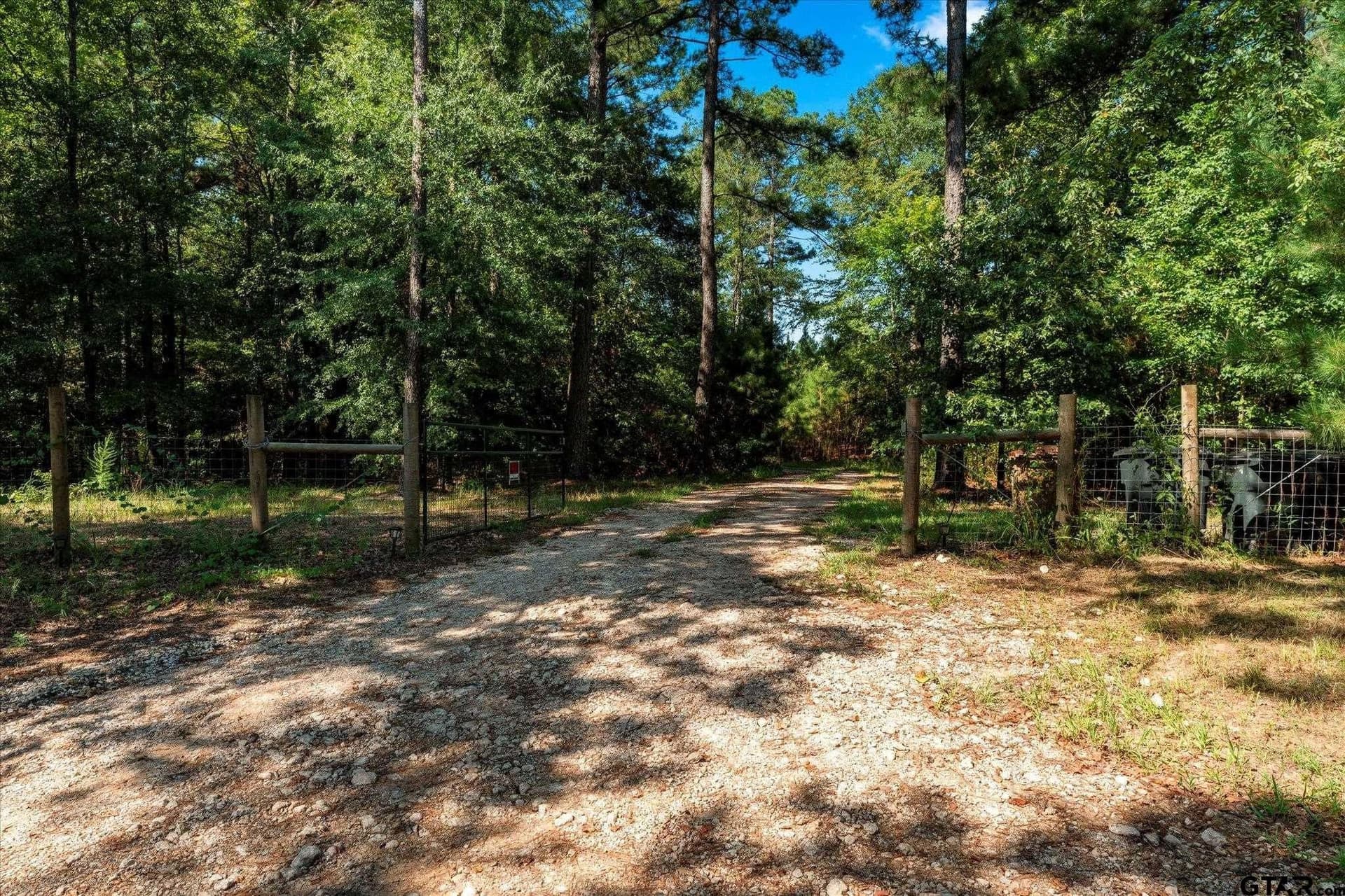 41 acres in Camp County - photo 10