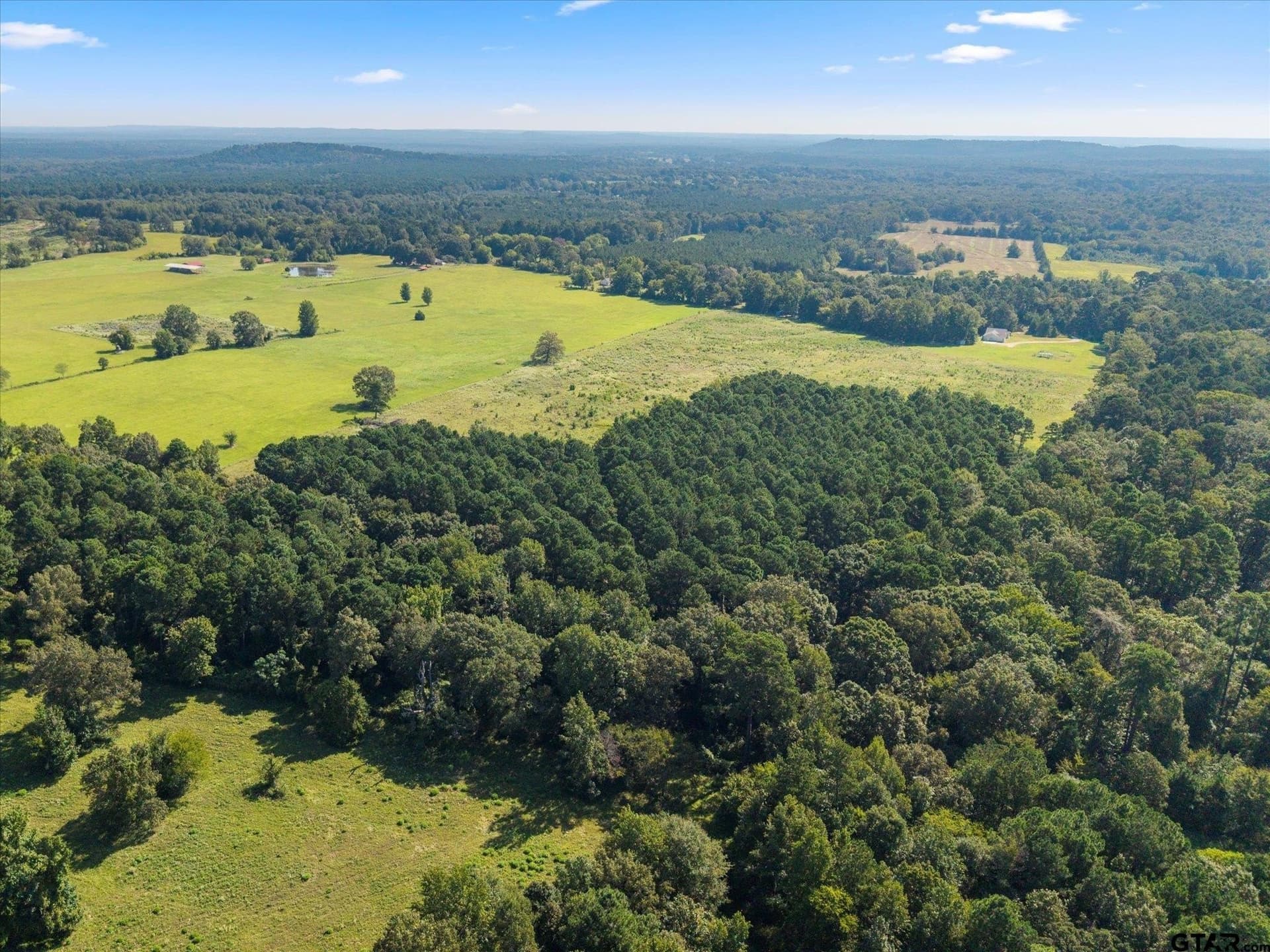 41 acres in Camp County - photo 38