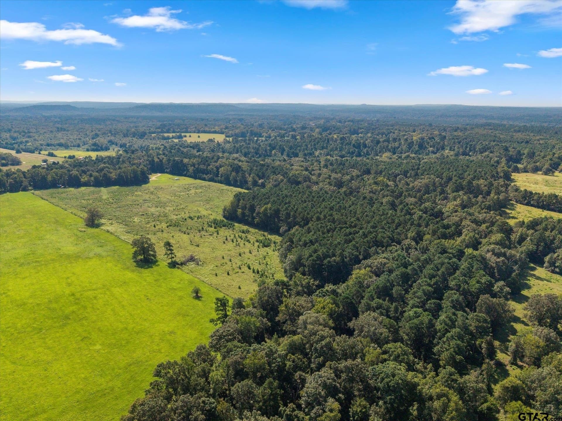 41 acres in Camp County - photo 37