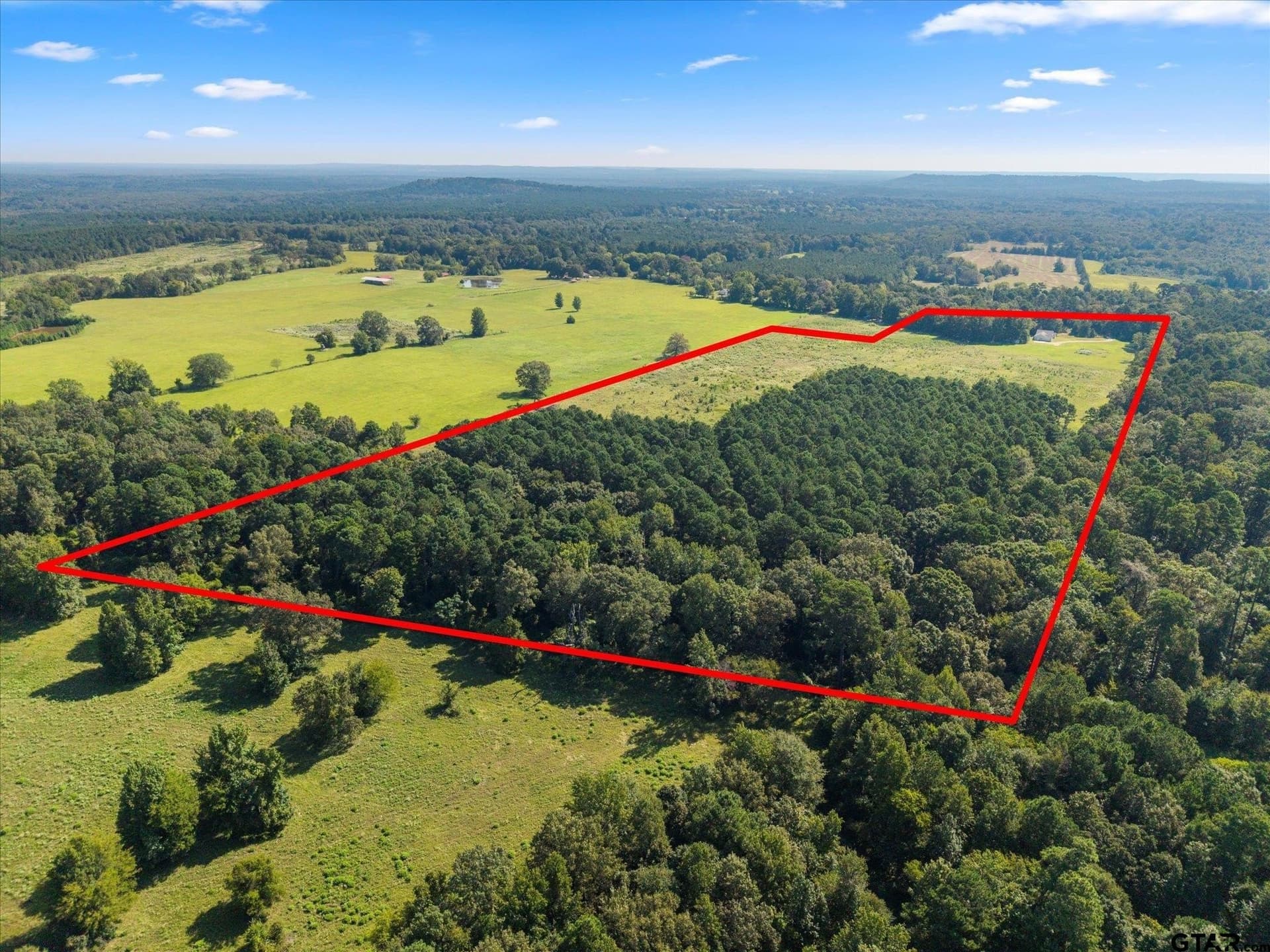41 acres in Camp County - photo 41