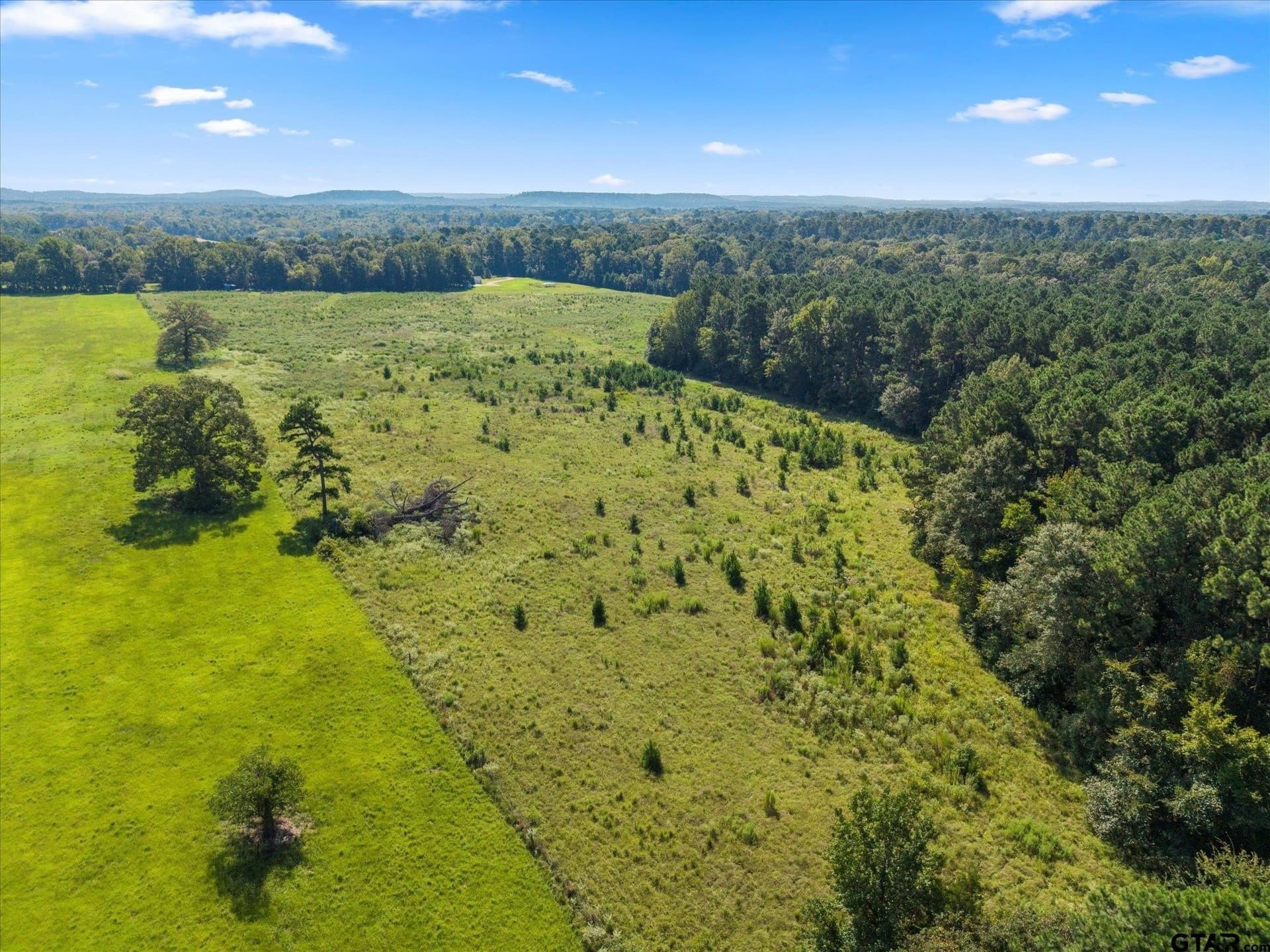 41 acres in Camp County - photo 36