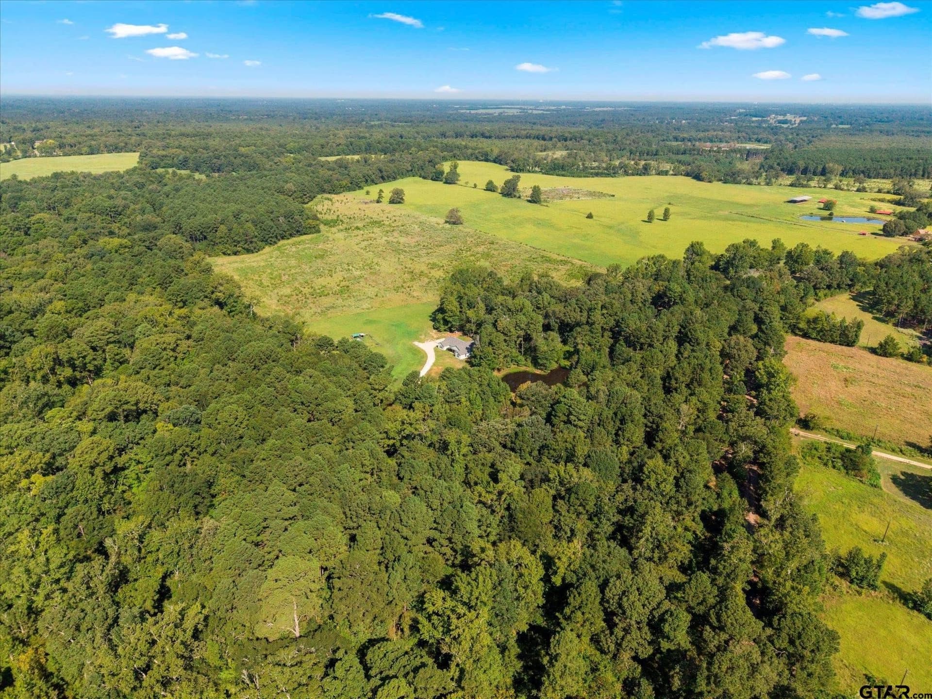 41 acres in Camp County - photo 39