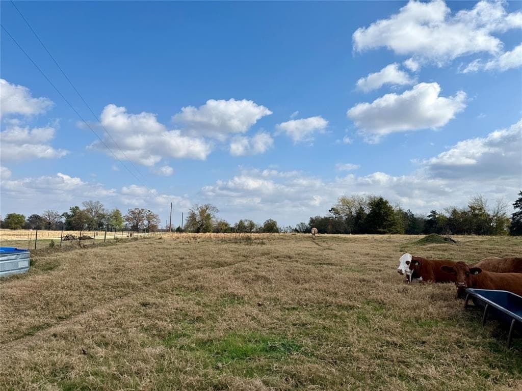 14.1 acres in Hopkins County - photo 6