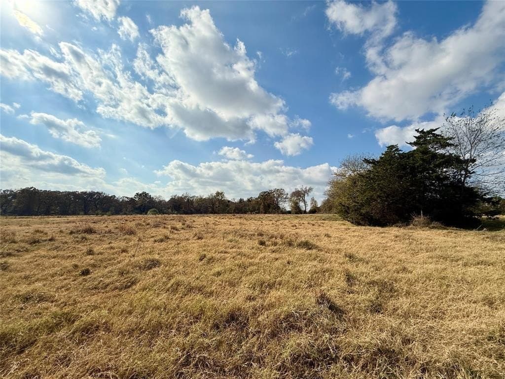 14.1 acres in Hopkins County - photo 17