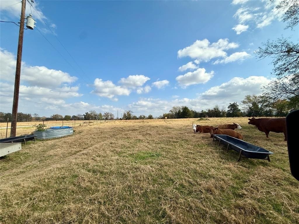 14.1 acres in Hopkins County - photo 5