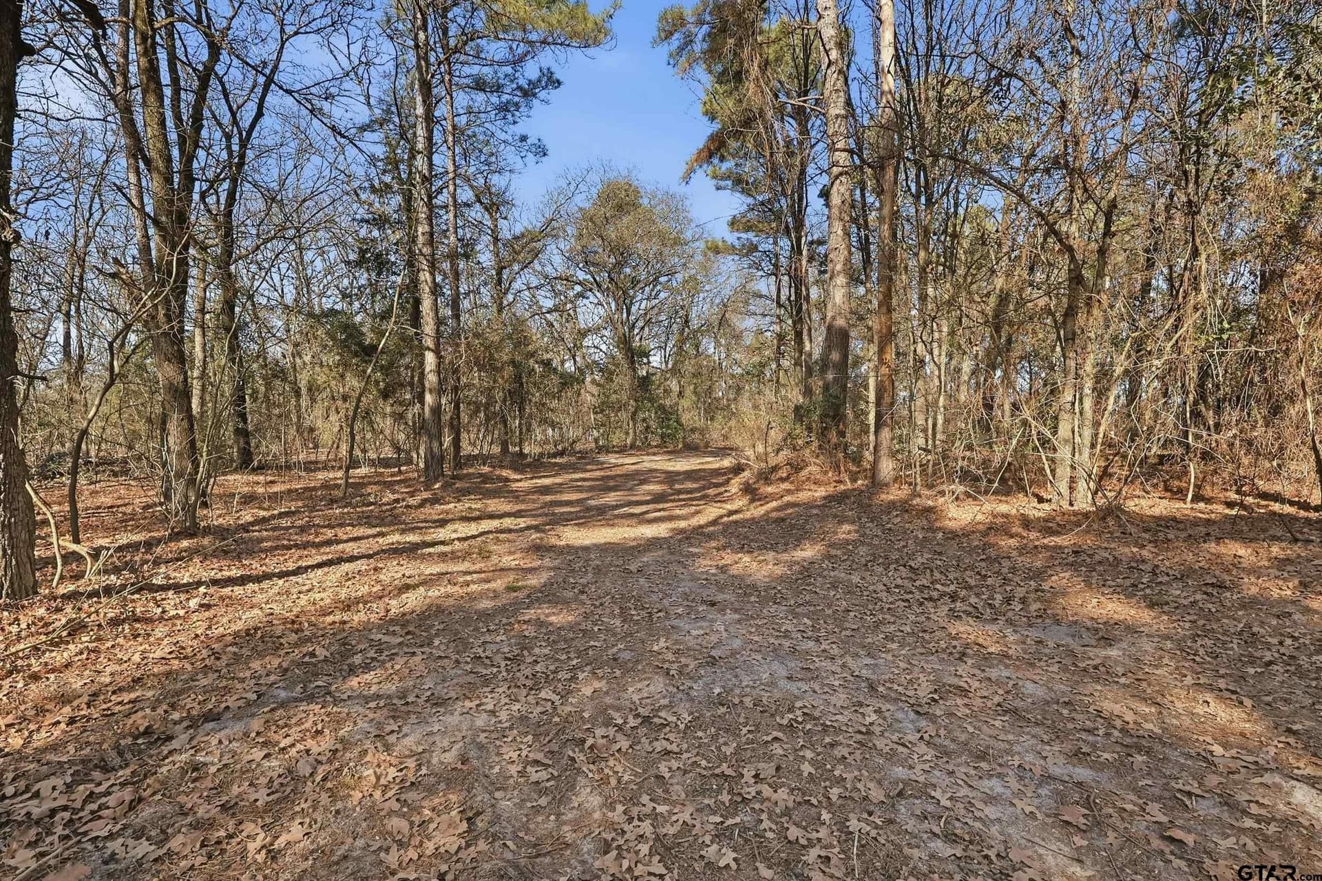9.72 acres in Wood County - photo 17