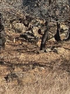 0.52 acres in Montague County - photo 4