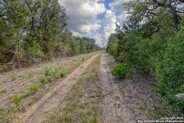 60.03 acres in Real County - photo 31
