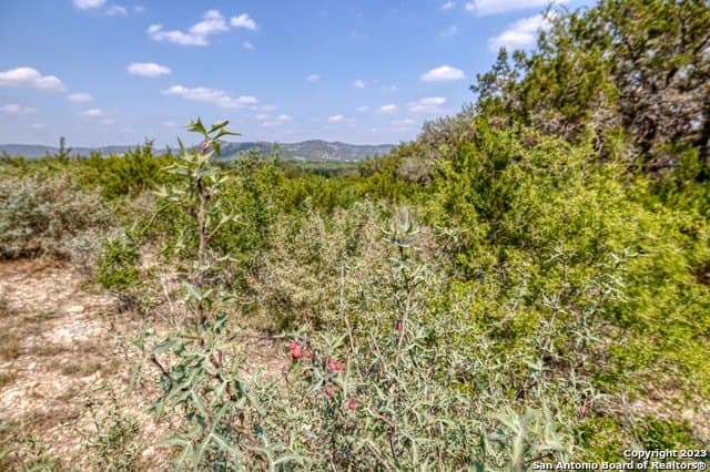 60.03 acres in Real County - photo 6