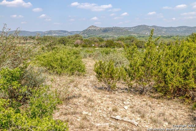 60.03 acres in Real County - photo 7