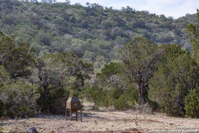 60.03 acres in Real County - photo 38