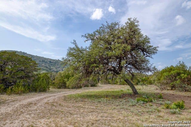 60.03 acres in Real County - photo 32