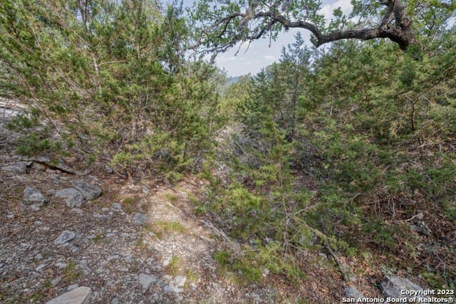 60.03 acres in Real County - photo 27