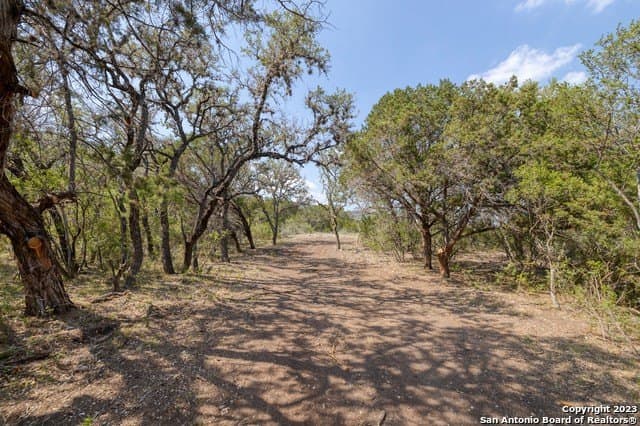 60.03 acres in Real County - photo 41