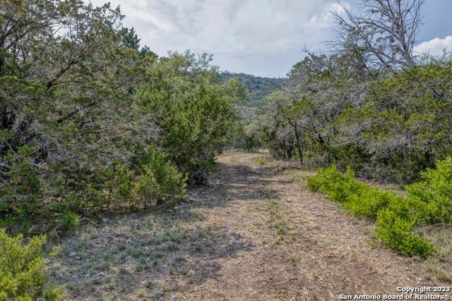 60.03 acres in Real County - photo 17