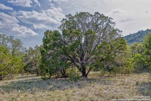 60.03 acres in Real County - photo 21