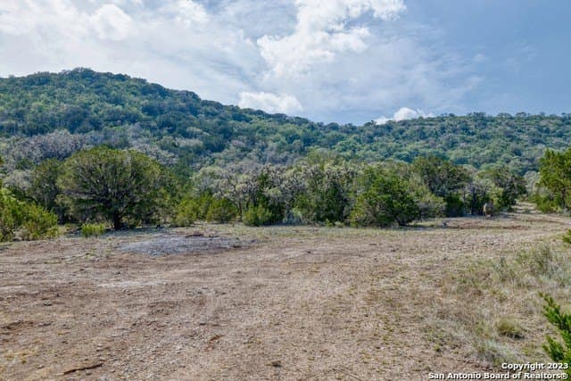 60.03 acres in Real County - photo 14