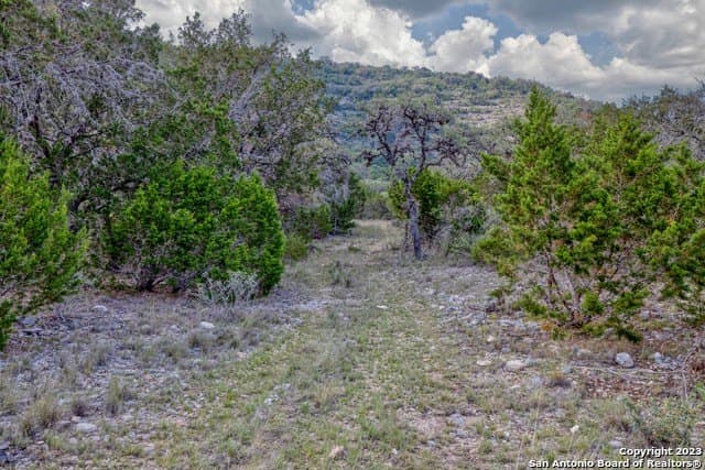 60.03 acres in Real County - photo 24