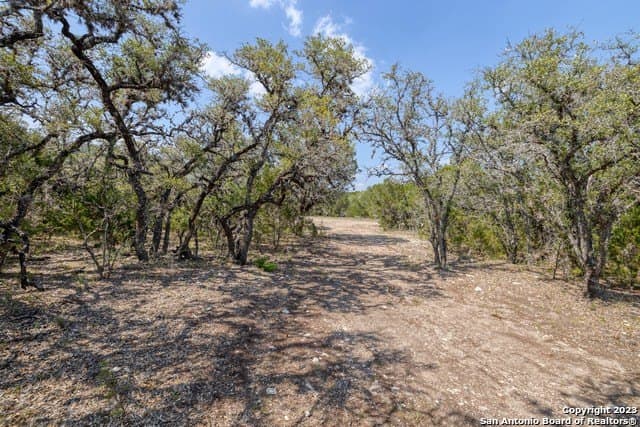 60.03 acres in Real County - photo 11