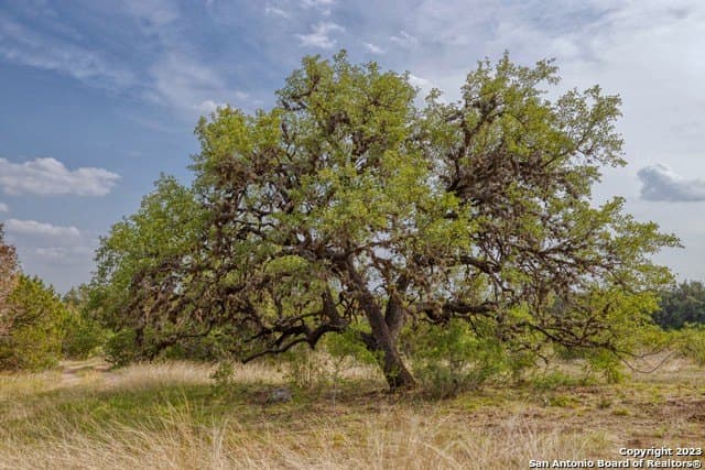 60.03 acres in Real County - photo 30