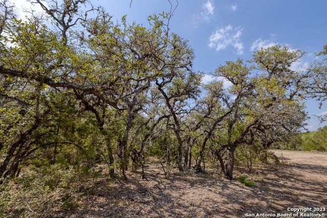 60.03 acres in Real County - photo 12