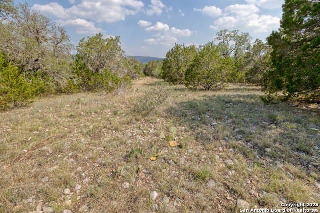 60.03 acres in Real County - photo 22