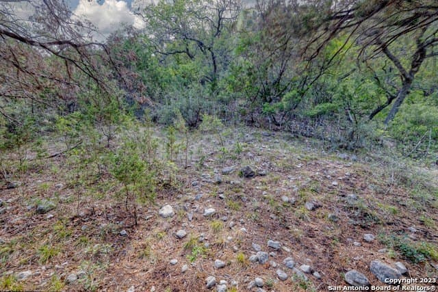 60.03 acres in Real County - photo 29