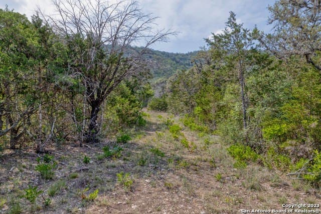 60.03 acres in Real County - photo 18