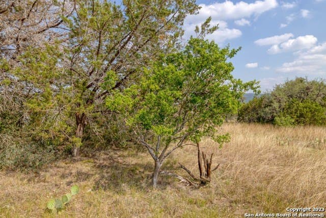 60.03 acres in Real County - photo 23