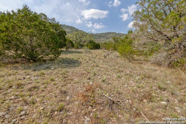 60.03 acres in Real County - photo 19
