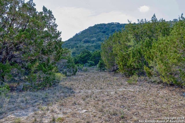 60.03 acres in Real County - photo 8
