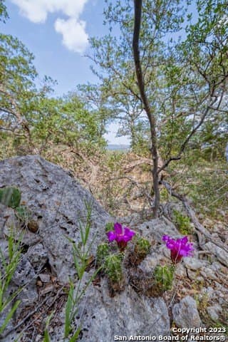 60.03 acres in Real County - photo 26