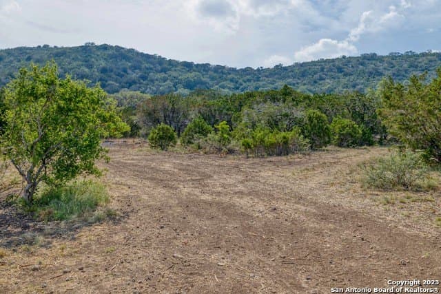 60.03 acres in Real County - photo 16