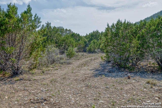 60.03 acres in Real County - photo 10