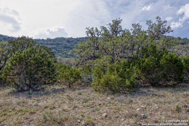 60.03 acres in Real County - photo 20
