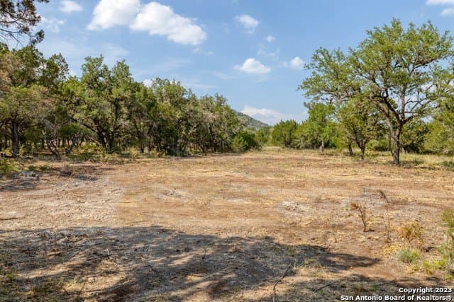 60.03 acres in Real County - photo 15