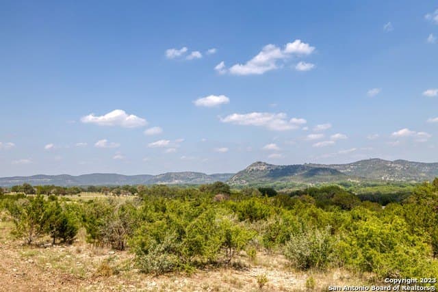 60.03 acres in Real County - photo 5