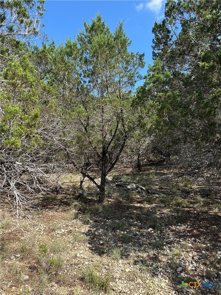 0.2 acres in Comal County - photo 4