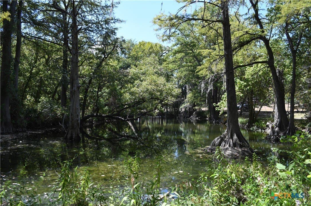 0.2 acres in Comal County - photo 17