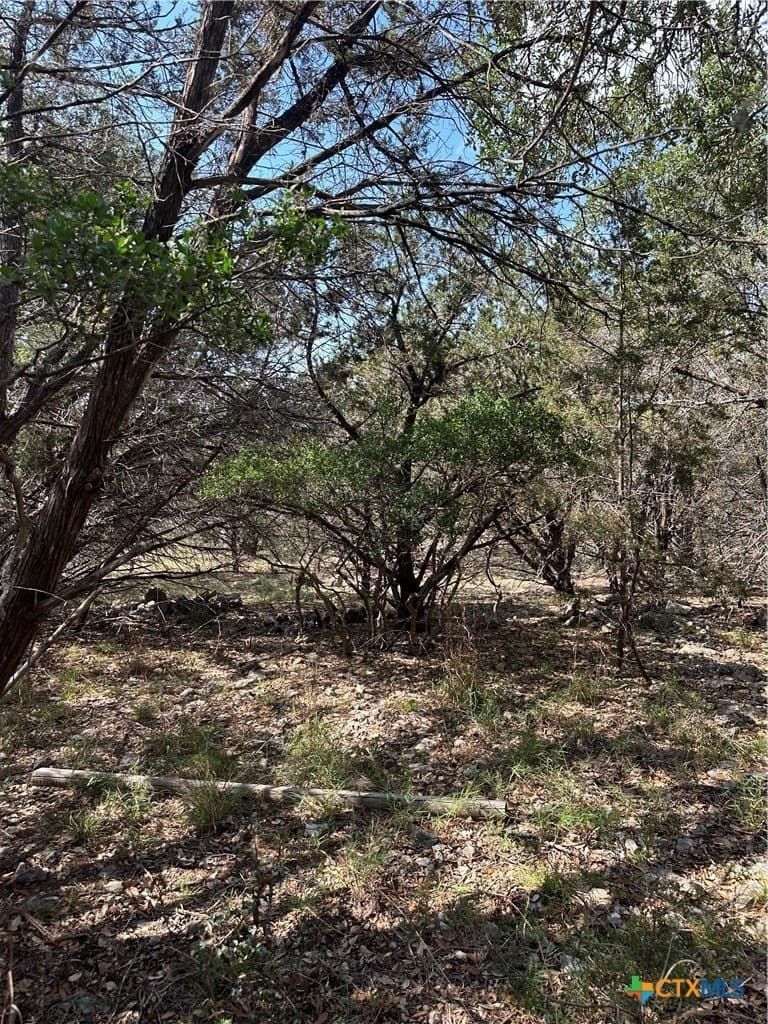 0.2 acres in Comal County - photo 5