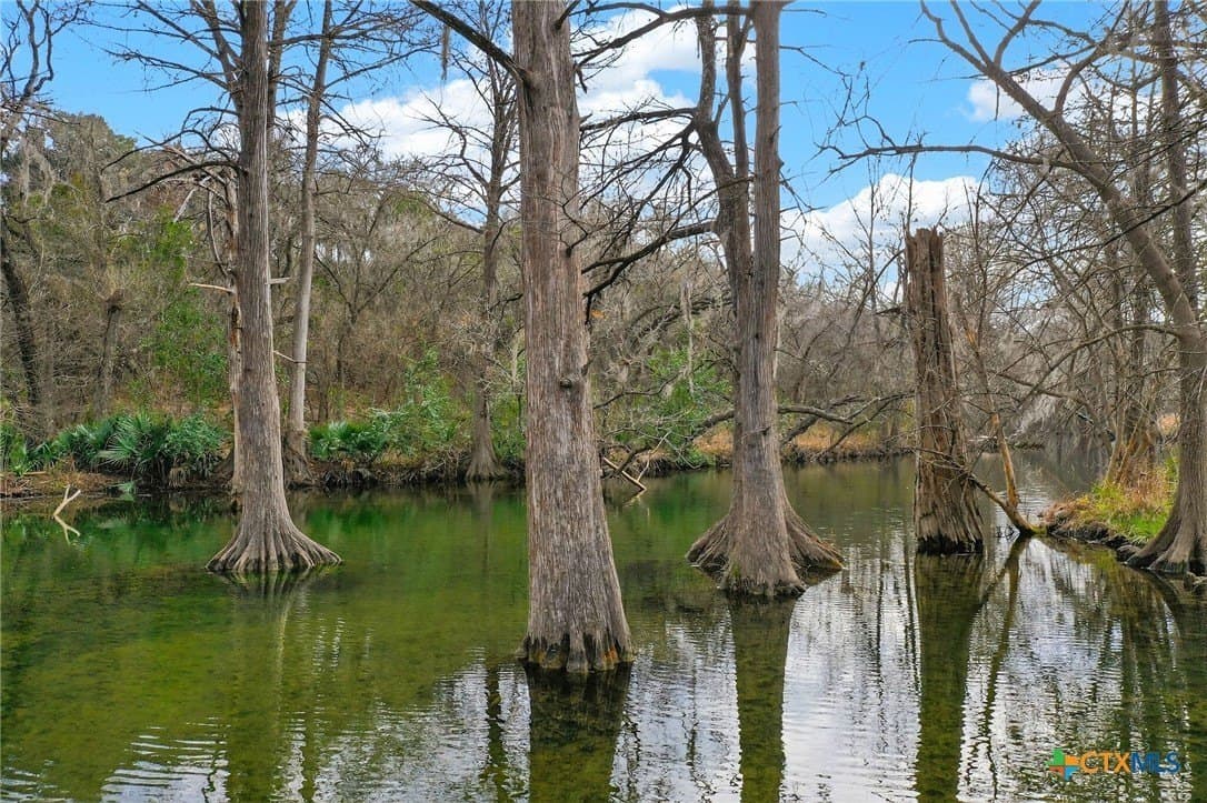 0.2 acres in Comal County - photo 22