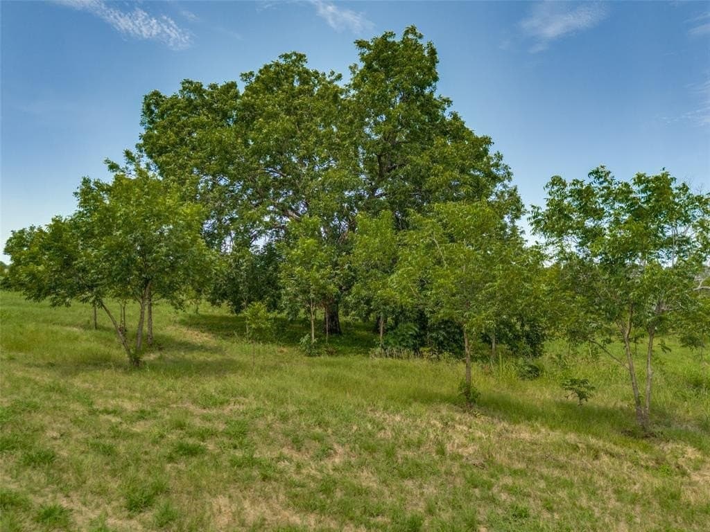 12.42 acres in Navarro County - photo 30