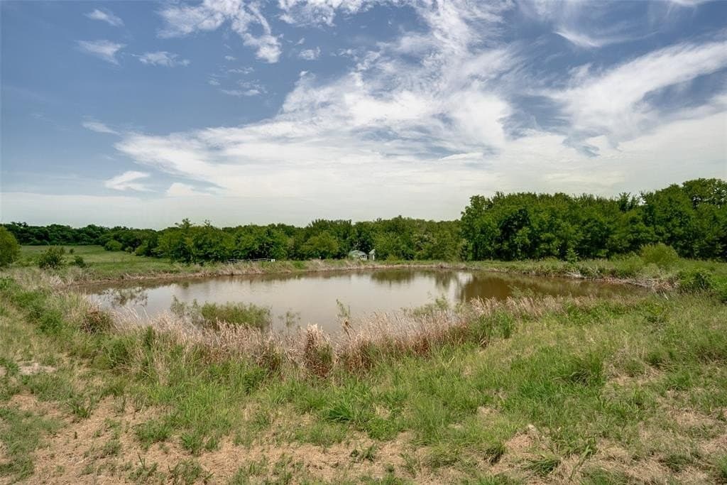 12.42 acres in Navarro County - photo 33